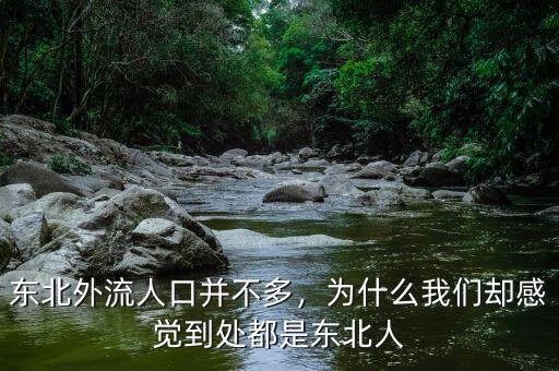 東北外流人口并不多，為什么我們卻感覺到處都是東北人