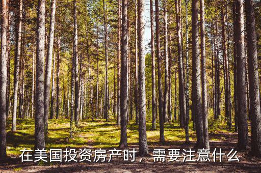 在美國(guó)投資房產(chǎn)時(shí)，需要注意什么