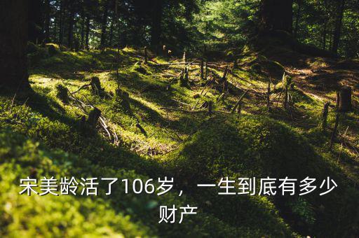 宋美齡活了106歲，一生到底有多少財產(chǎn)