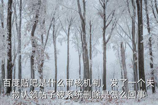 百度貼吧是什么審核機制，發(fā)了一個失物認領帖子被系統(tǒng)刪除是怎么回事