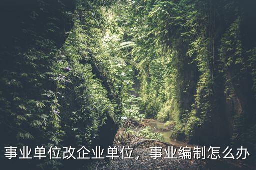 事業(yè)單位改企業(yè)單位，事業(yè)編制怎么辦