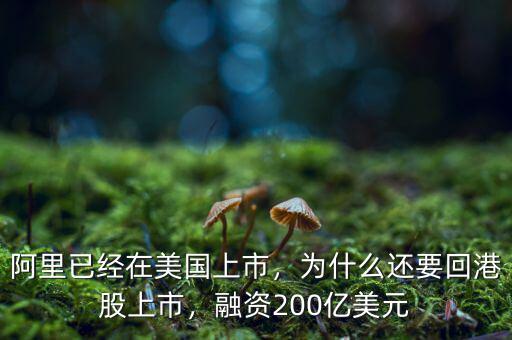 阿里已經(jīng)在美國上市，為什么還要回港股上市，融資200億美元