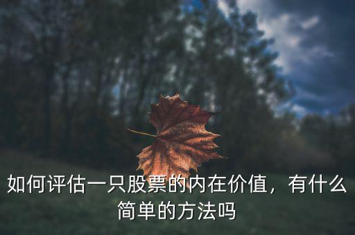 如何評估一只股票的內(nèi)在價(jià)值，有什么簡單的方法嗎