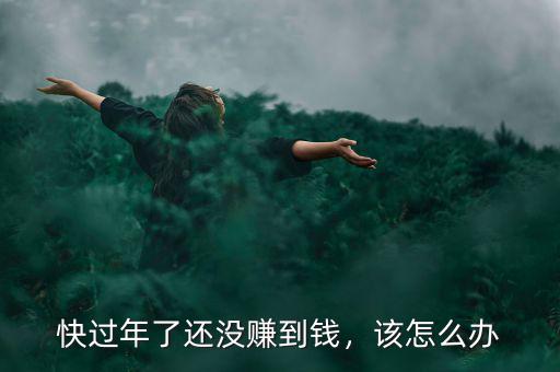 快過年了還沒賺到錢，該怎么辦