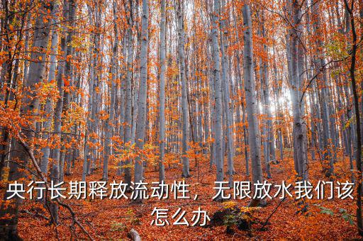 央行長(zhǎng)期釋放流動(dòng)性，無限放水我們?cè)撛趺崔k