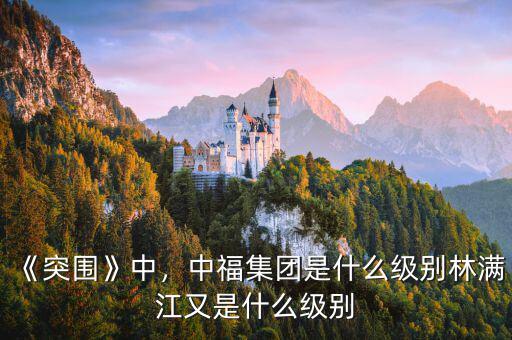 《突圍》中，中福集團(tuán)是什么級別林滿江又是什么級別