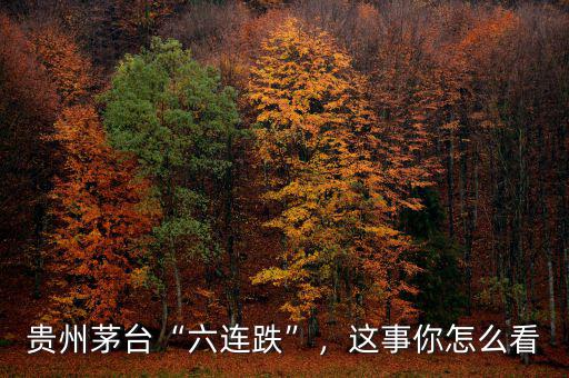 貴州茅臺“六連跌”，這事你怎么看