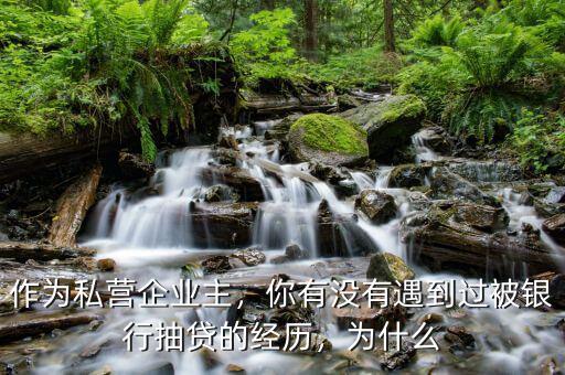 作為私營企業(yè)主，你有沒有遇到過被銀行抽貸的經(jīng)歷，為什么