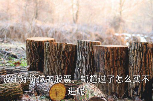 設(shè)定好價位的股票，都超過了怎么買不進(jìn)呢