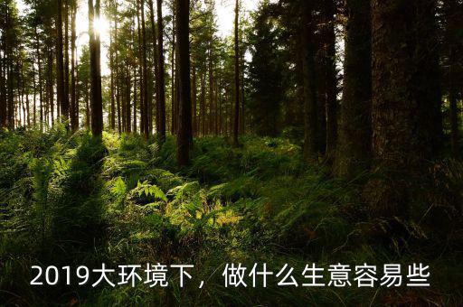 2019大環(huán)境下，做什么生意容易些