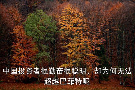 中國投資者很勤奮很聰明，卻為何無法超越巴菲特呢