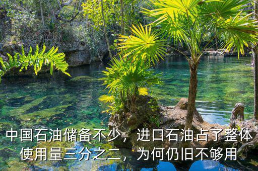 中國(guó)石油儲(chǔ)備不少，進(jìn)口石油占了整體使用量三分之二，為何仍舊不夠用