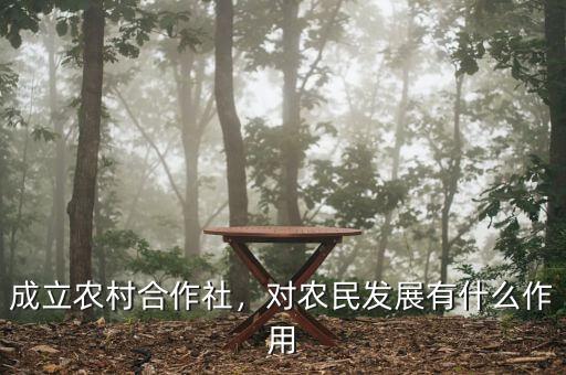 成立農(nóng)村合作社，對(duì)農(nóng)民發(fā)展有什么作用