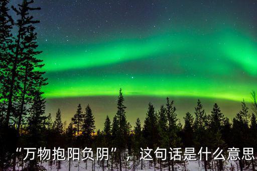 “萬物抱陽負陰”，這句話是什么意思