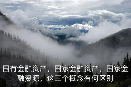 國有金融資產(chǎn)，國家金融資產(chǎn)，國家金融資源，這三個概念有何區(qū)別
