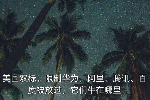美國雙標(biāo)，限制華為，阿里、騰訊、百度被放過，它們牛在哪里