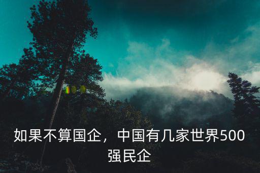 如果不算國企，中國有幾家世界500強(qiáng)民企