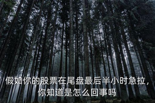假如你的股票在尾盤最后半小時(shí)急拉，你知道是怎么回事嗎