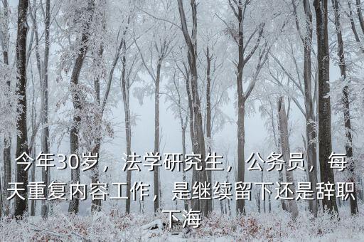今年30歲，法學(xué)研究生，公務(wù)員，每天重復(fù)內(nèi)容工作，是繼續(xù)留下還是辭職下海