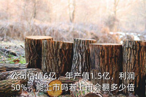 公司估值6億，年產(chǎn)值1.5億，利潤(rùn)50%，能上市嗎若上市會(huì)翻多少倍