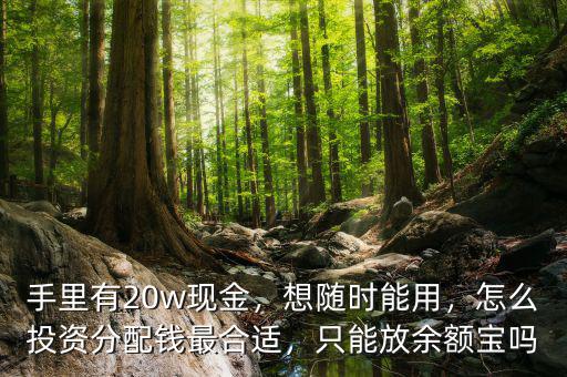 手里有20w現(xiàn)金，想隨時(shí)能用，怎么投資分配錢最合適，只能放余額寶嗎