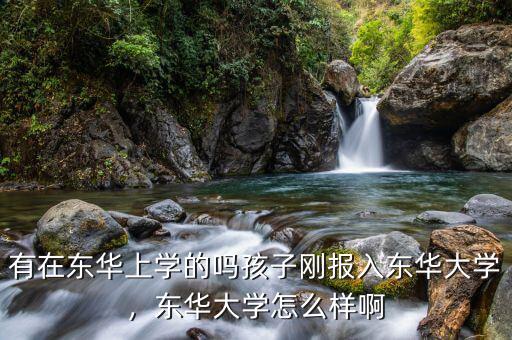 有在東華上學(xué)的嗎孩子剛報(bào)入東華大學(xué)，東華大學(xué)怎么樣啊