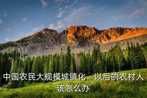 中國農(nóng)民大規(guī)模城鎮(zhèn)化，以后的農(nóng)村人該怎么辦