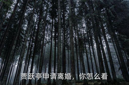 賈躍亭申請(qǐng)離婚，你怎么看