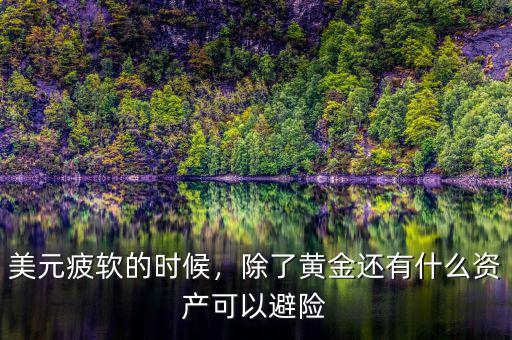 美元疲軟的時候，除了黃金還有什么資產(chǎn)可以避險