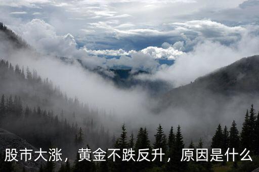 股市大漲，黃金不跌反升，原因是什么