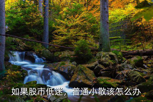 如果股市低迷，普通小散該怎么辦