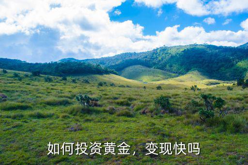 如何投資黃金，變現(xiàn)快嗎
