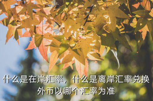 什么是在岸匯率，什么是離岸匯率兌換外幣以哪個(gè)匯率為準(zhǔn)