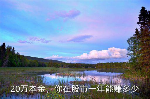 20萬本金，你在股市一年能賺多少