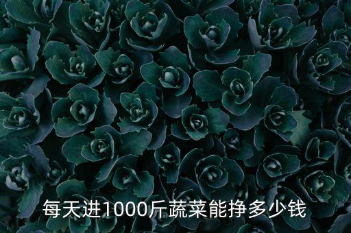 每天進(jìn)1000斤蔬菜能掙多少錢(qián)