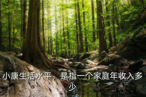 小康生活水平，是指一個(gè)家庭年收入多少