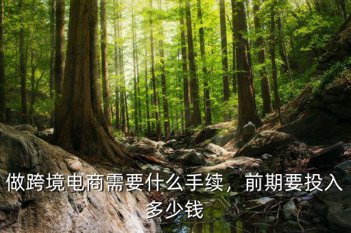 做跨境電商需要什么手續(xù)，前期要投入多少錢