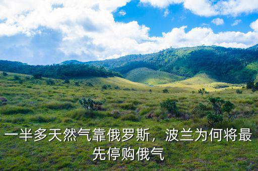 一半多天然氣靠俄羅斯，波蘭為何將最先停購(gòu)俄氣