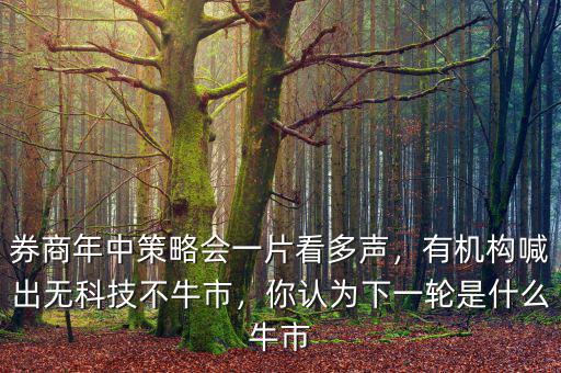 券商年中策略會一片看多聲，有機(jī)構(gòu)喊出無科技不牛市，你認(rèn)為下一輪是什么牛市