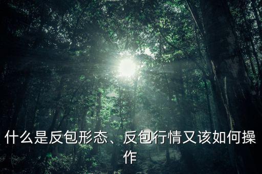 什么是反包形態(tài)、反包行情又該如何操作