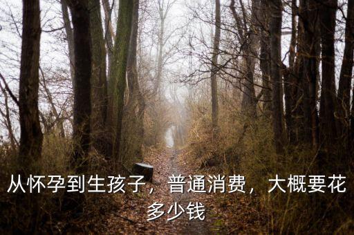 從懷孕到生孩子，普通消費(fèi)，大概要花多少錢