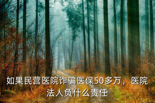 如果民營(yíng)醫(yī)院詐騙醫(yī)保50多萬，醫(yī)院法人負(fù)什么責(zé)任