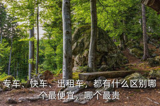 專車、快車、出租車，都有什么區(qū)別哪個(gè)最便宜，哪個(gè)最貴
