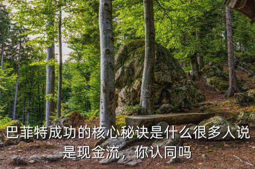 巴菲特成功的核心秘訣是什么很多人說是現(xiàn)金流，你認同嗎