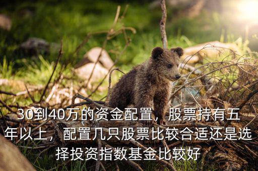 30到40萬的資金配置，股票持有五年以上，配置幾只股票比較合適還是選擇投資指數基金比較好