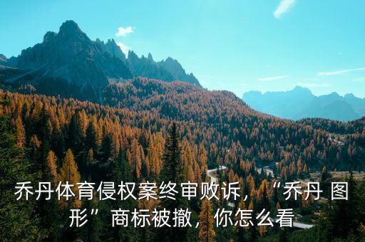 喬丹體育侵權(quán)案終審敗訴，“喬丹 圖形”商標(biāo)被撤，你怎么看