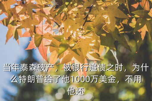 當(dāng)年泰森破產(chǎn)，被銀行追債之時(shí)，為什么特朗普給了他1000萬美金，不用他還