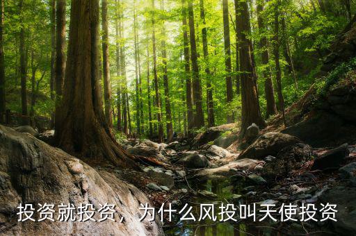 投資就投資，為什么風(fēng)投叫天使投資