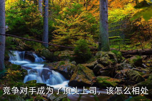 競爭對手成為了頂頭上司，該怎么相處