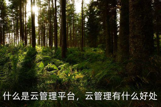 什么是云管理平臺，云管理有什么好處